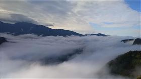 阿里山雲海美景阿里山公路旁能見到綿延不斷的雲海，令人驚嘆；嘉義林區管理處表示，值得上阿里山走一遭。中央社記者蔡智明攝  110年1月14日