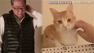 大喊臭貓不屑碰　傲嬌爸偷摸反應爆笑