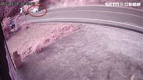 竹子,慘死,貫穿,新竹,翻攝畫面