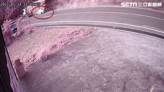 竹子貫穿轎車駕駛亡　驚悚奪命畫面曝