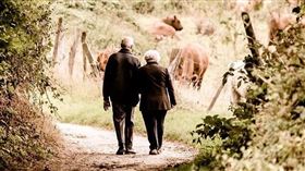 夫妻 公婆 恩愛 放閃 公公 婆婆 老夫妻（示意圖／翻攝自pixabay）