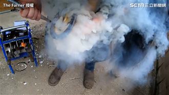 達人幫馬「剪指甲」　白煙狂噴網驚呆