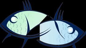 塔羅,星座,雙魚座,運勢,投資,泰瑞莎（圖／翻攝自Pixabay）