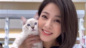 蘇晏霈、貓咪。翻攝自臉書