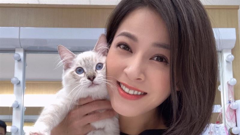 貓兒眼瞎腿癱　台8女星心急求診無解