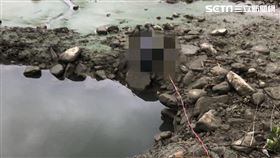 台北,基隆河,浮屍,男子（圖／翻攝畫面）