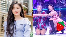 葉舒華。（圖／翻攝自shuhuasite IG、KBS電視台YouTube）