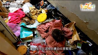 垃圾塞滿民宅　志工崩潰救57隻兔！