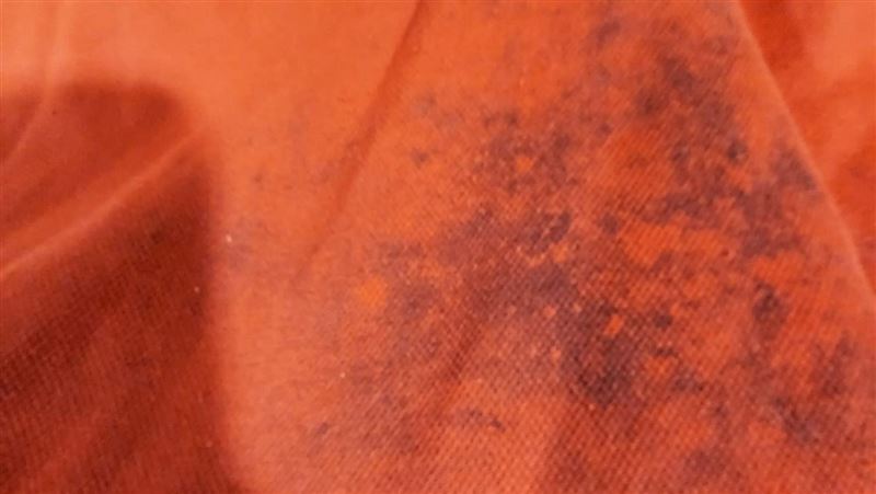 制服發霉怎麼去霉？內行1招消滅斑點