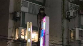 黑影,招牌,鴿子,寵物店,永和