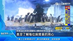 ▲民眾可透過飼育照護體驗更加了解企鵝的生活型態。（圖／擷自三立新聞網YT畫面）