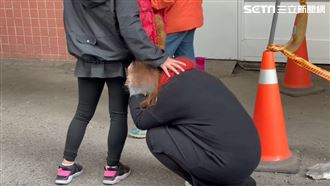 悲！台鐵尪遭車廂夾殺亡　妻腿軟崩潰