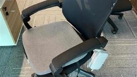 坐墊,中國,杭州,浙江,監控,摸魚,監視