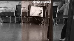 高雄,大笑之歌,公審,垃圾,國中