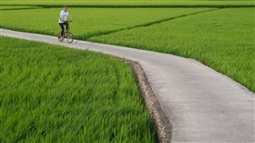 圖／讀者提供,平鎮自行車道（其他新聞勿用）