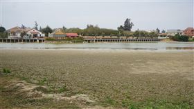 嚴峻乾旱  金門雙鯉湖乾涸大半金門地區年平均雨量約為1087毫米，但近3年降雨量都低於平均值，金門縣長楊鎮浯責成工務處、建設處及自來水廠持續加速開發自有水資源並改善水資源。圖為雙鯉湖湖水已乾涸大半。中央社記者黃慧敏攝  110年1月19日
