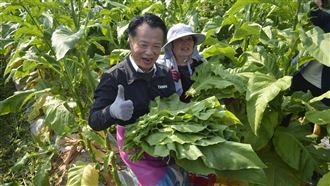 嘉義菸業文化影像專書　紀實百年歷史