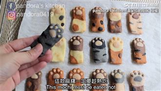 貓奴快看！「貓掌烤麻糬」攻佔你的心
