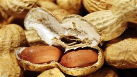 花生,peanuts。(圖/Pixabay)