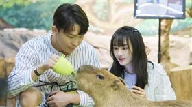 （圖／翻攝自女兒們的戀愛微博）