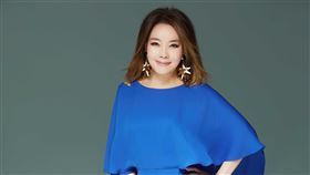 辛曉琪。圖／台視提供