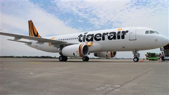 起薪70K！虎航招募空服員　這14天可報名