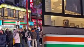 唐吉訶德排隊人潮塞爆！狗狗２樓探頭望　網笑翻：狗眼看人低。（圖／翻攝自新路上觀察學院）