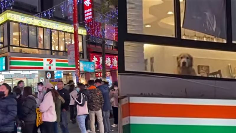 唐吉訶德跟風排爆！網笑：連狗都傻眼