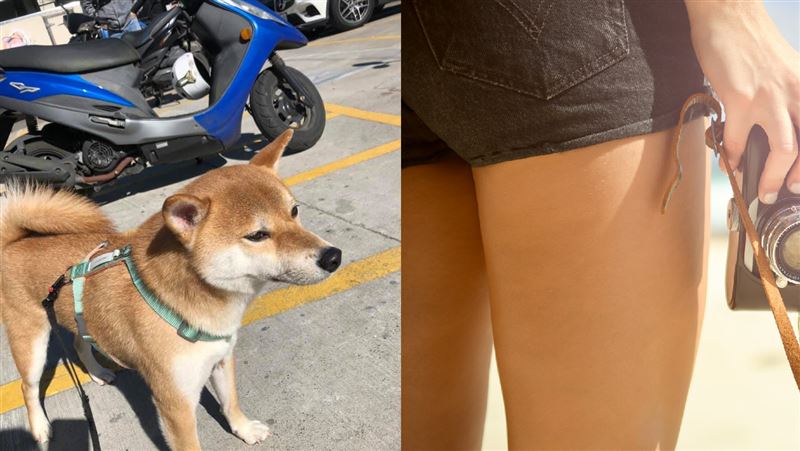 正妹被舔大腿　轉頭見兇手瞬間心軟
