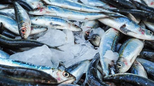 鮭魚輸了！1常見魚Omega-3多2倍 可抗發炎