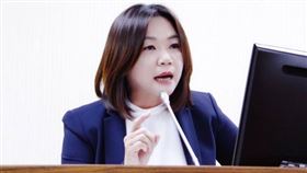 南投選區的藍委馬文君(圖/馬文君臉書)