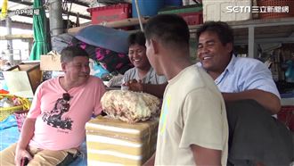 撿到「鯨魚嘔吐物」漁夫一夜爽賺百萬