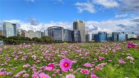 名家專用／台灣旅行趣（勿用）