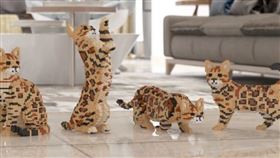 名家專用／ELLE（勿用）