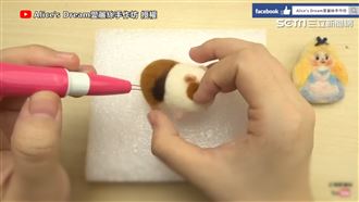 天竺鼠車車爆紅　達人教你DIY