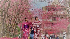 名家專用／台灣旅行趣（勿用）