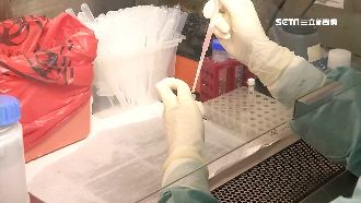 桃園採檢量能轉林口長庚　檢驗科忙翻