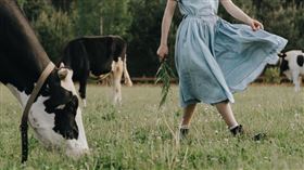 牛年。（圖／翻攝自免費圖庫pexels）