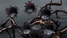 新冠病毒(Pixabay)