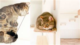 名家專用/ ELLE（勿用）
