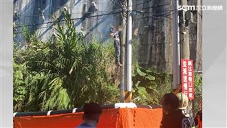 陸戰老兵爬電桿2小時　不滿跳電抗議