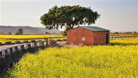 名家專用／台灣旅行趣（勿用）