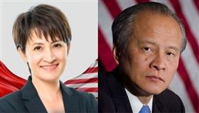 蕭美琴，崔天凱（組合圖）