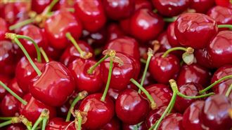 買櫻桃趁現在！美國進口櫻桃便宜逾2成