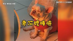 ▼▲２歲的跳跳正在暖爐前取暖。（圖／網友 陳智雄 授權）