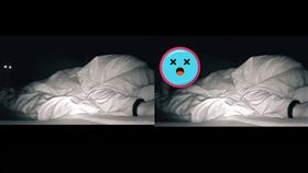 貓,睡覺,疲倦,睡眠品質,監視器,半夜,4小時