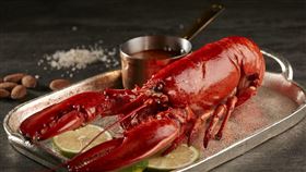 火鍋。（圖／業者提供）