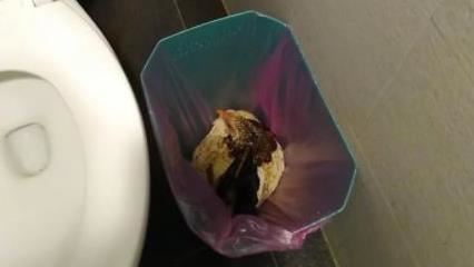 誰的雞掉在廁所？女子曝：常常看我上