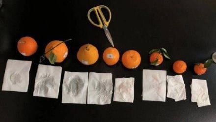 買橘子一擦變紅色　網一看怕：加了啥