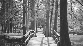 有民眾在案發當天聽見7分鐘的尖叫聲，接著就看見一名男子從公園跑出來。（圖／翻攝自pixabay）